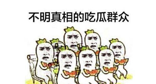 吃瓜群众tik,揭秘短视频平台的趣味与争议