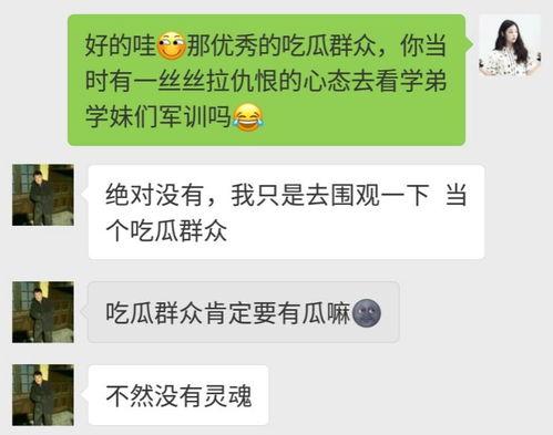 吃瓜群众别针文案范文,趣味生活,一针见血