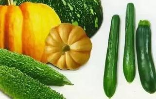 夏吃瓜指的是哪些瓜,夏吃瓜,盘点那些清凉解暑的瓜类美食