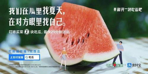 王不染 吃瓜,揭秘娱乐圈吃瓜背后的真相与内幕