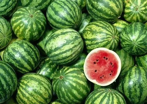 中外吃瓜,揭秘全球“吃瓜群众”的趣味生活