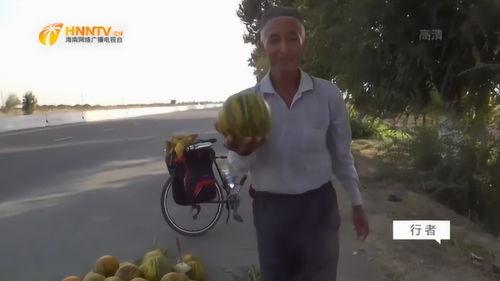 吃瓜行者,吃瓜行者带你领略幕后风云