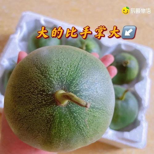 辰乐吃瓜,揭秘娱乐圈幕后故事