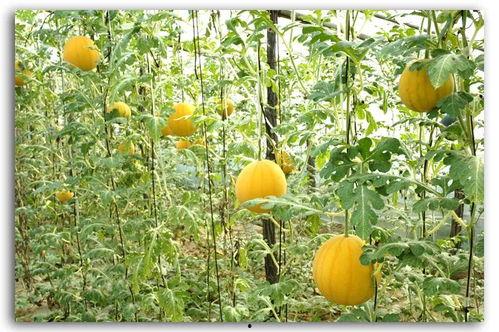 重磅吃瓜河北唐山,揭秘河北唐山背后的惊人真相