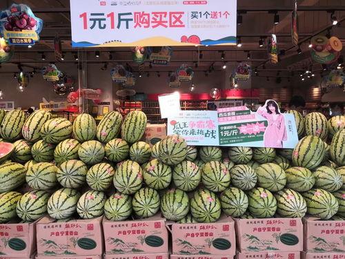 吃硒砂瓜大赛,挑战极限的吃瓜大赛盛况回顾”