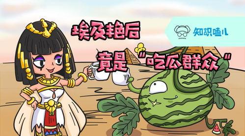 吃瓜群众的知识,吃瓜群众视角下的明星生活